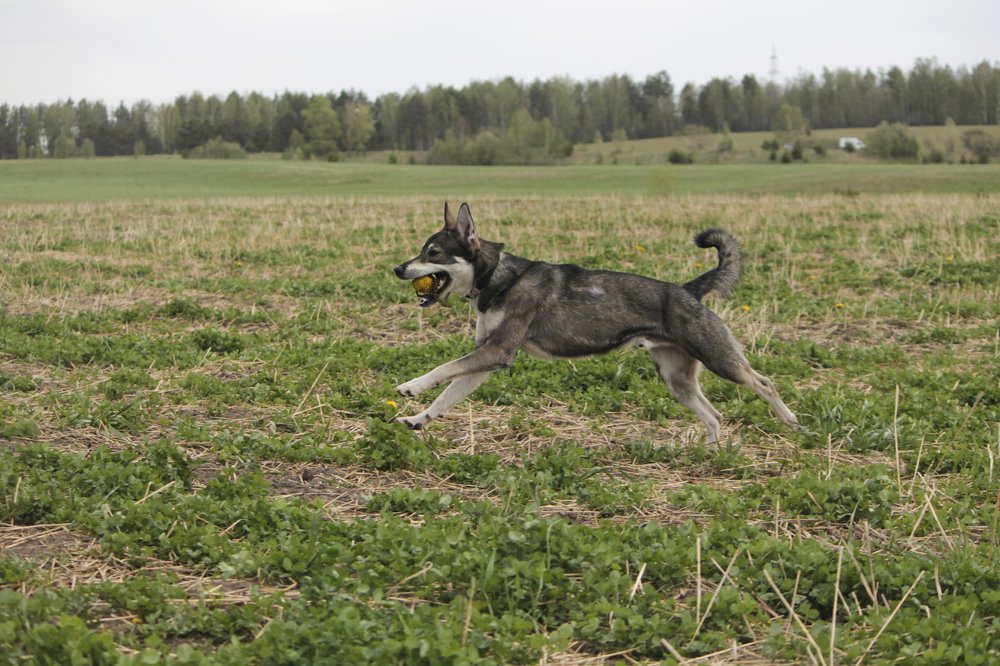 Photograph by Елена