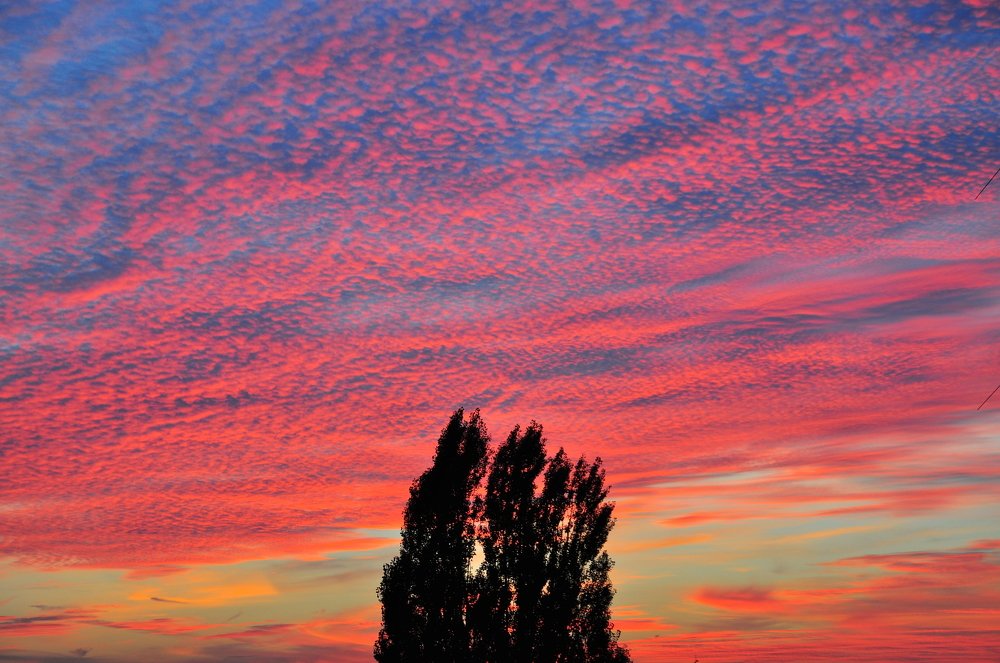 Intense and colorful sunset