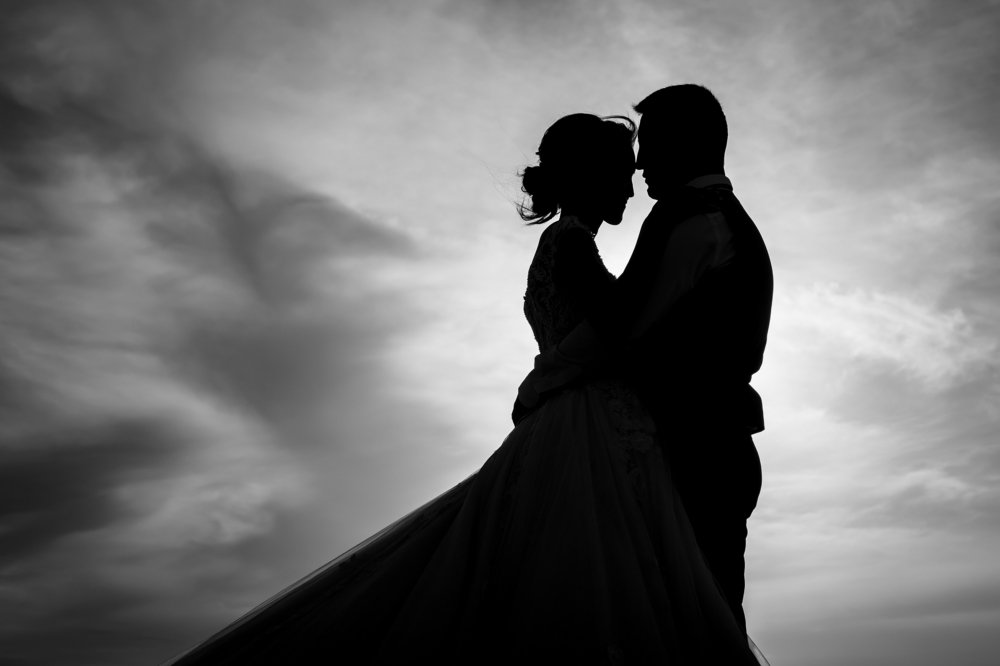 2 лебедя в пустыне