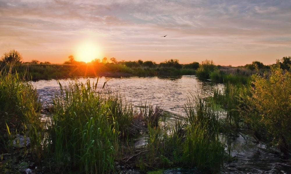 Вечерняя тишина