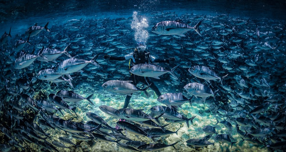 Photograph by Юрий Журавлев