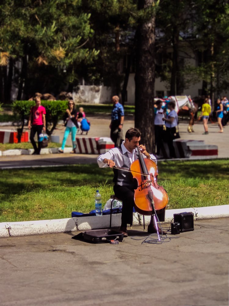 Виолончелист