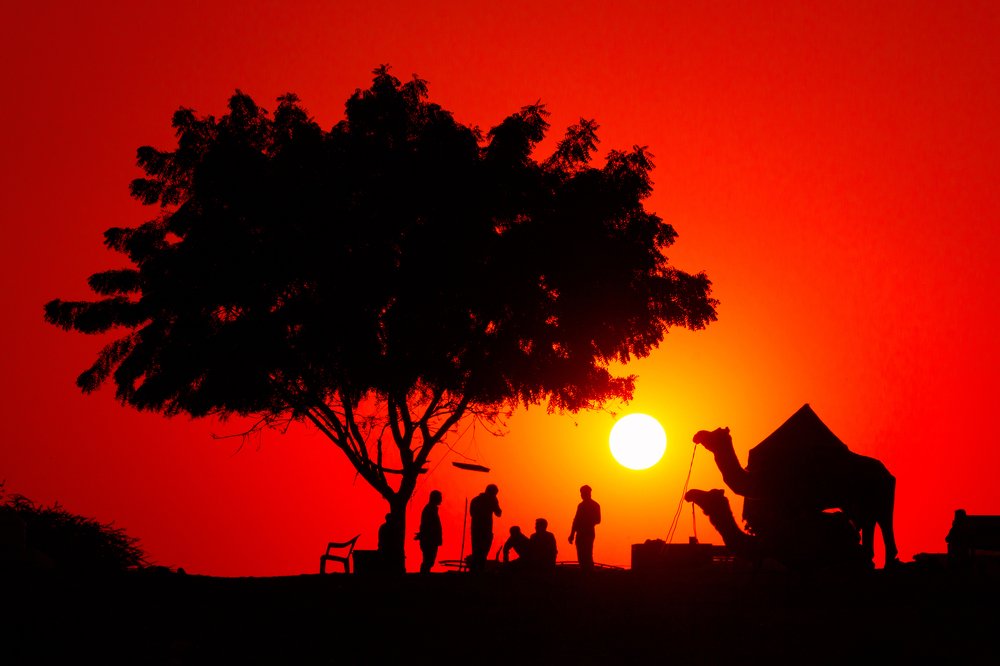 Sunset in the Great Indian Desert