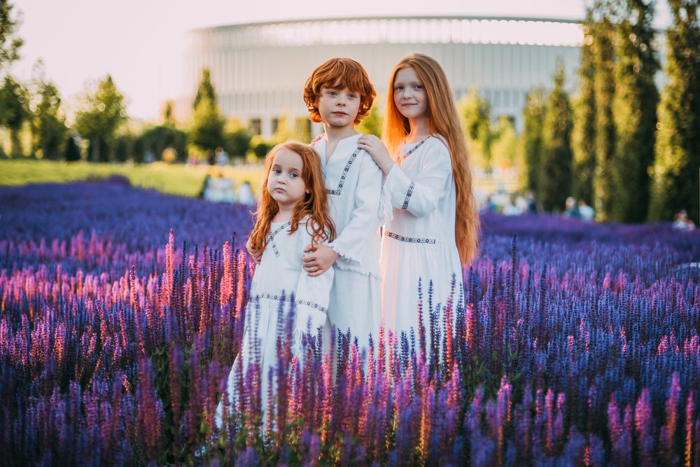 Фотография автора Дарья Шевченко