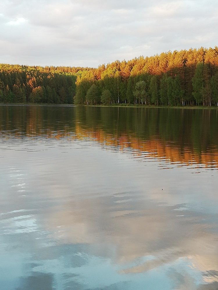 Предзакатные часы