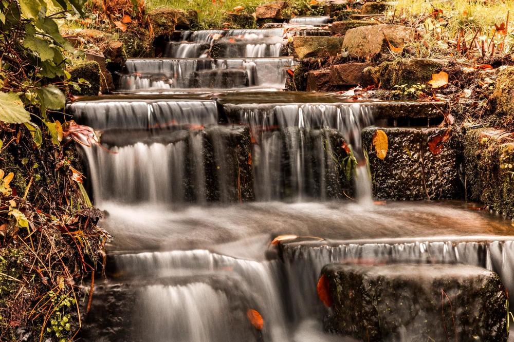 Photograph by Elena Gebert