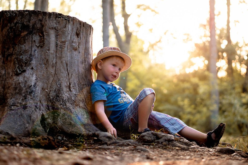 Когда даже пни большие