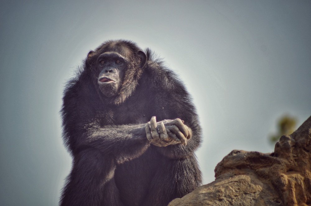 Photograph by Mohammad Rasheed