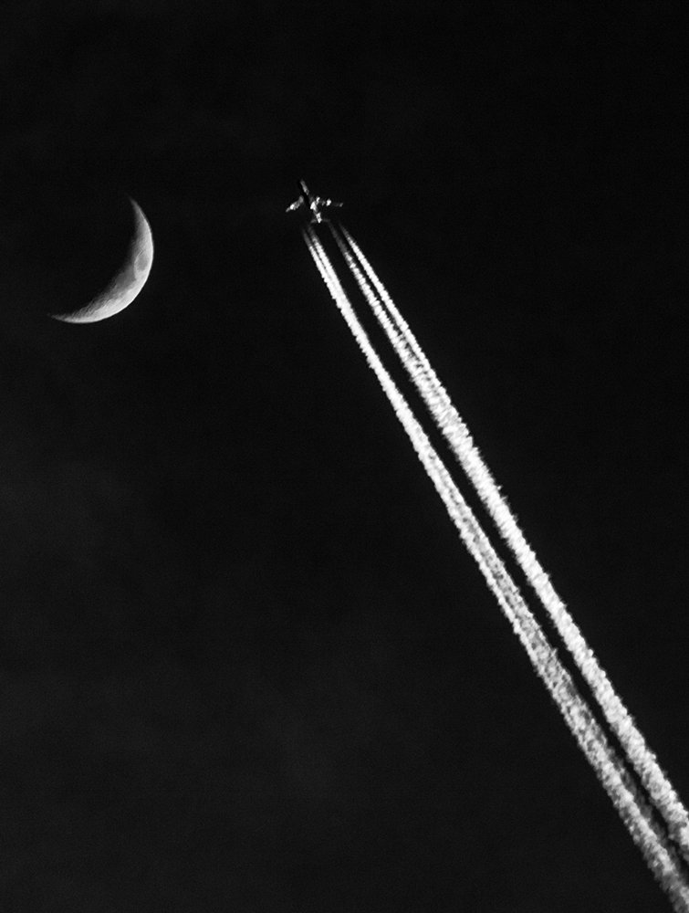 Photograph by Alex Kalpus