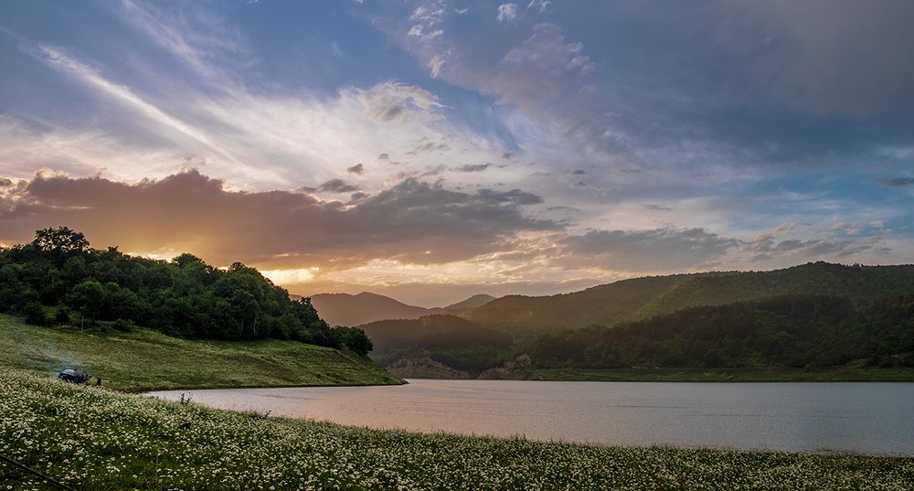 Photograph by Alex Kalpus