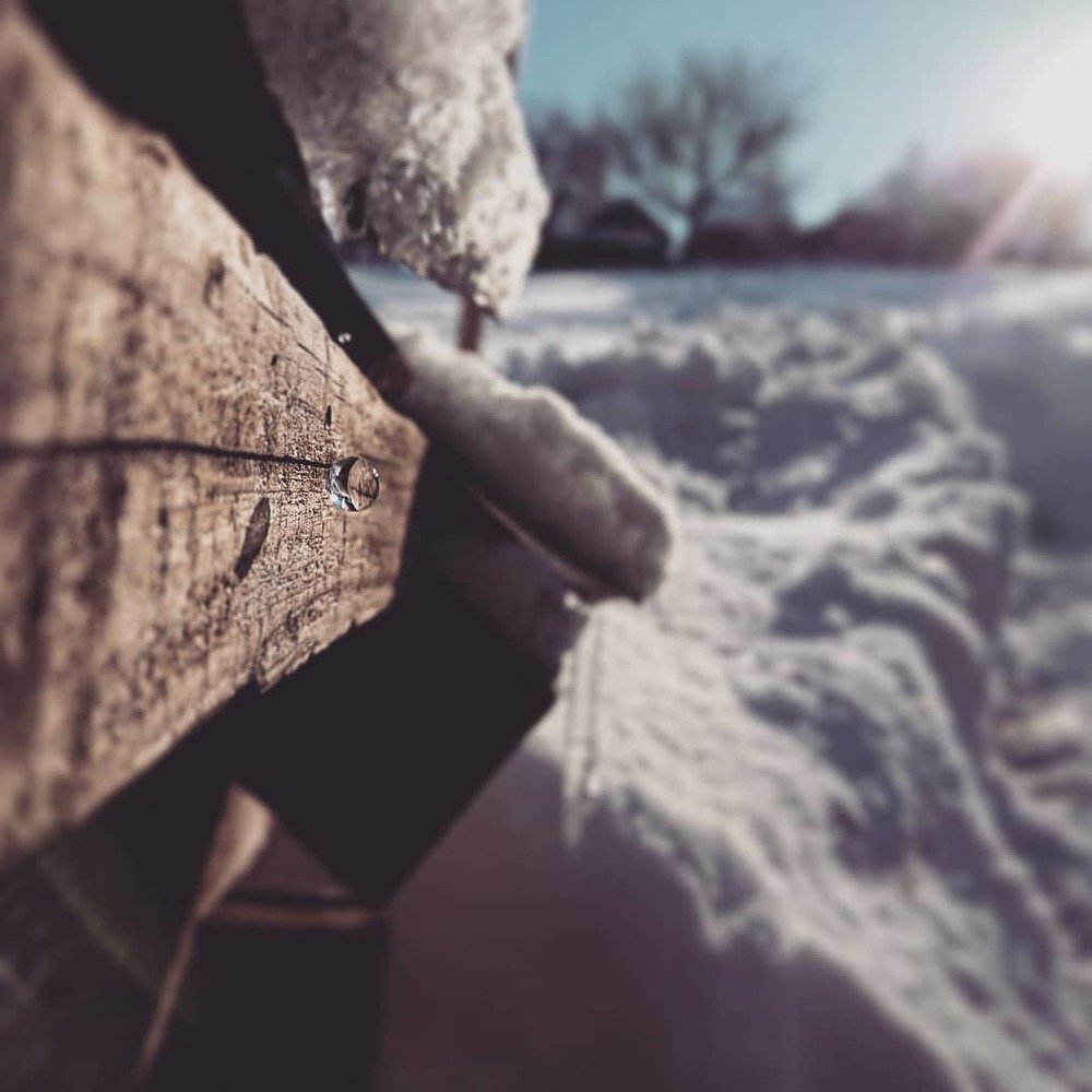 Photograph by Алексей Бессонов