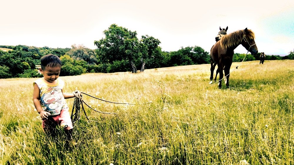 Kid and his horses at savannah