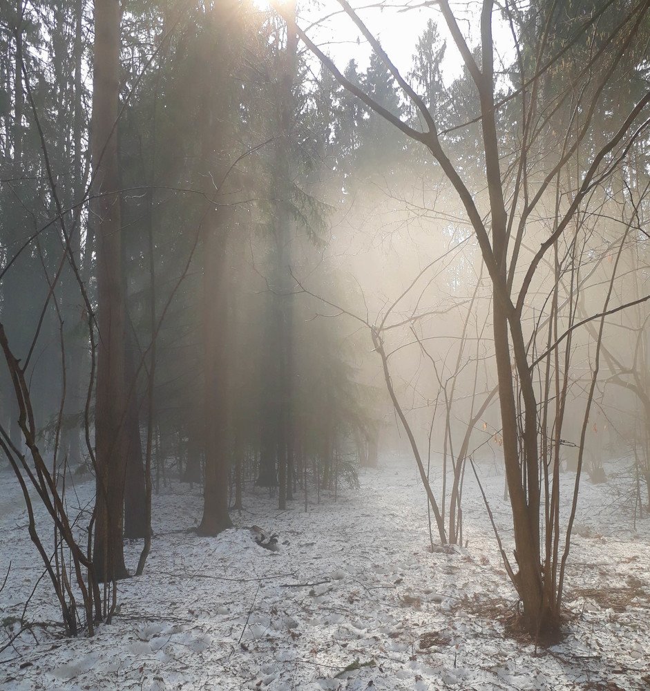 Photograph by Диана Козинцева