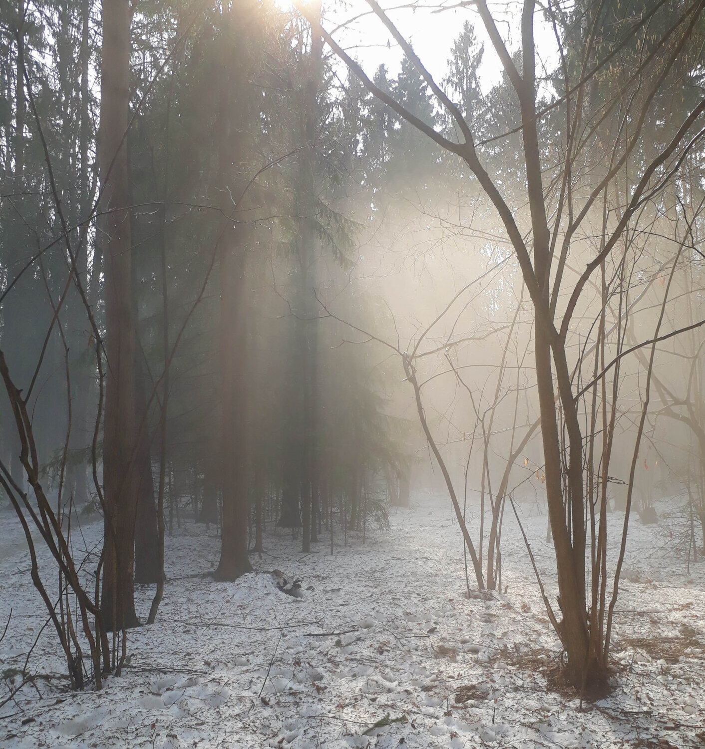 Photo #3296674
