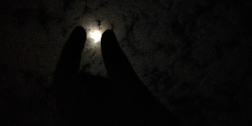 Wonders of Night