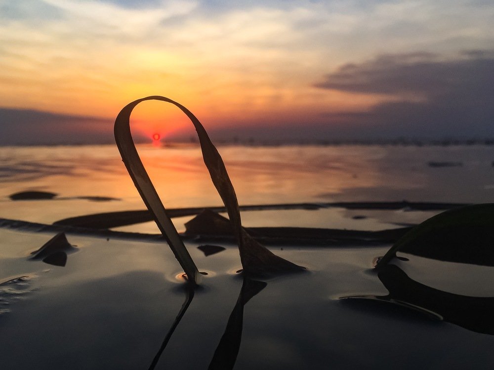 Peacefully sunset