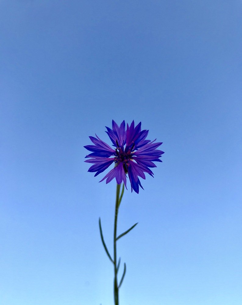 Photograph by Виктория Потапова