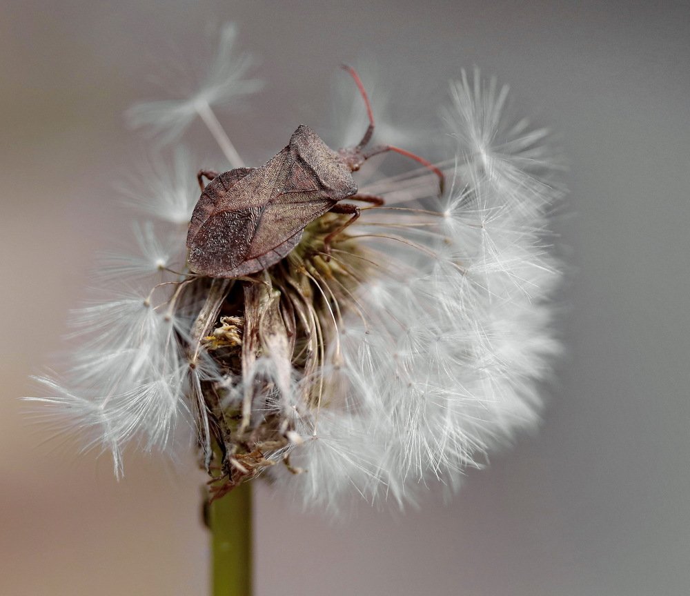 Photograph by Игорь Осипов