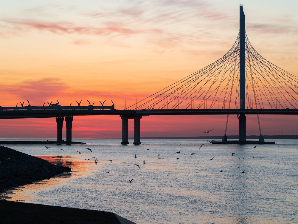 Стоишь на берегу и чувствуешь солёный запах ветра...