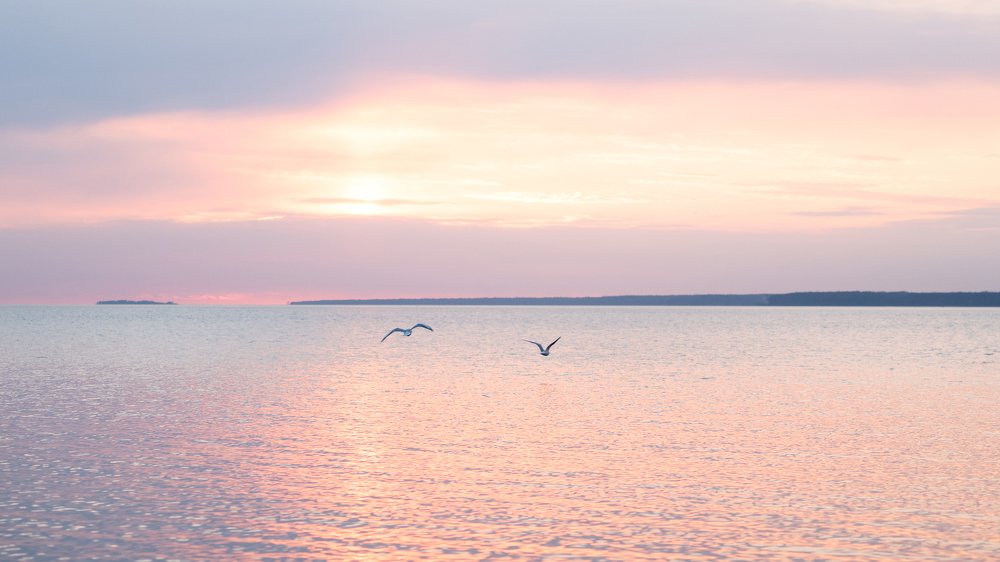 Overhead the albatross hangs motionless upon the air