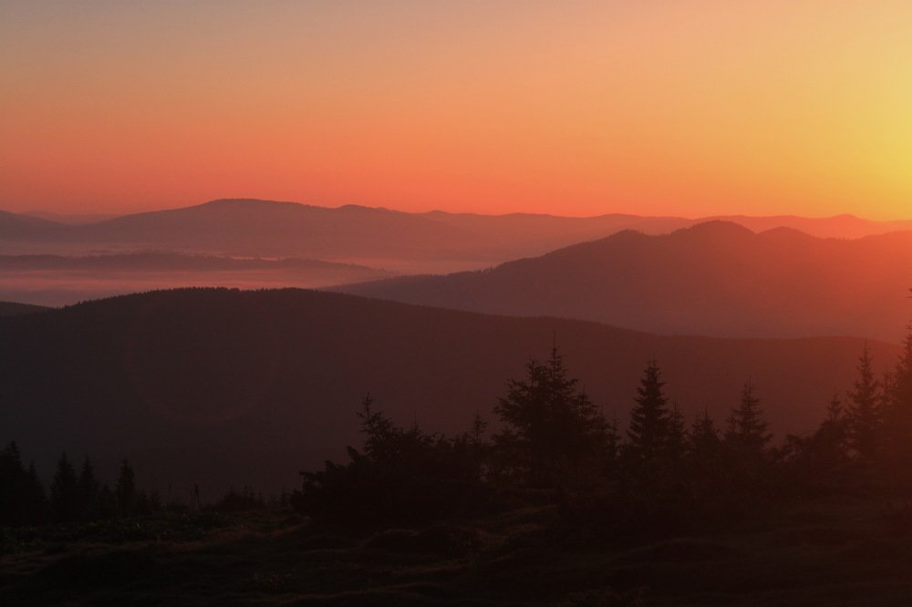 Раннее утро в Карпатах