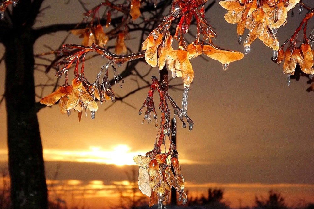 Янтарный закат