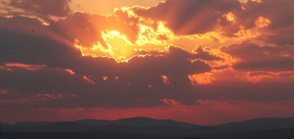 Photograph by Liza Kadochnikova