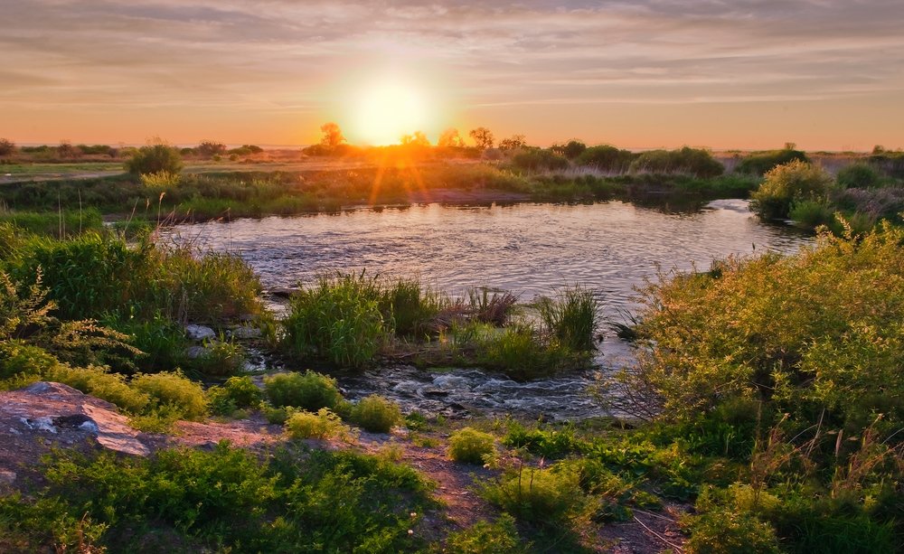 Вечерняя тишина