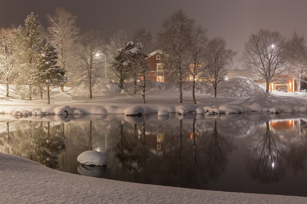 magical scandinavian winter night