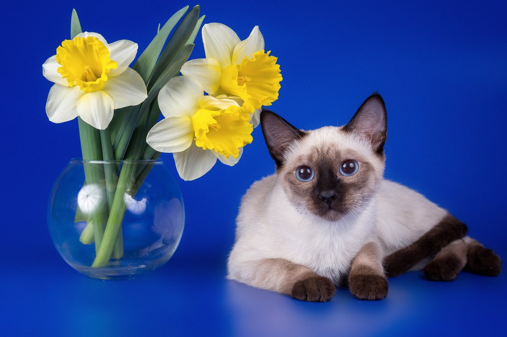 Цветы и Мишель