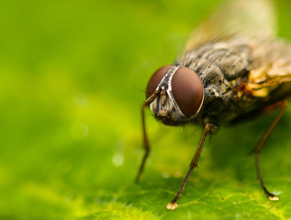 Я макияж не размазала?!