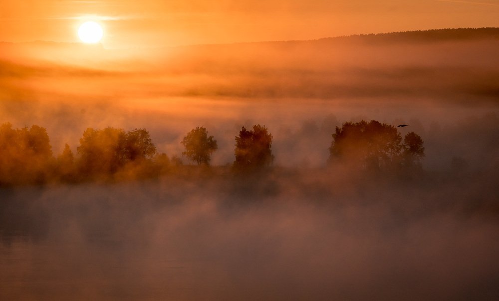 Рассвет на Томи
