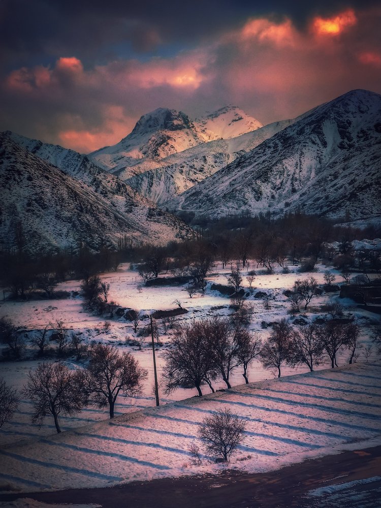 alone in the croweded