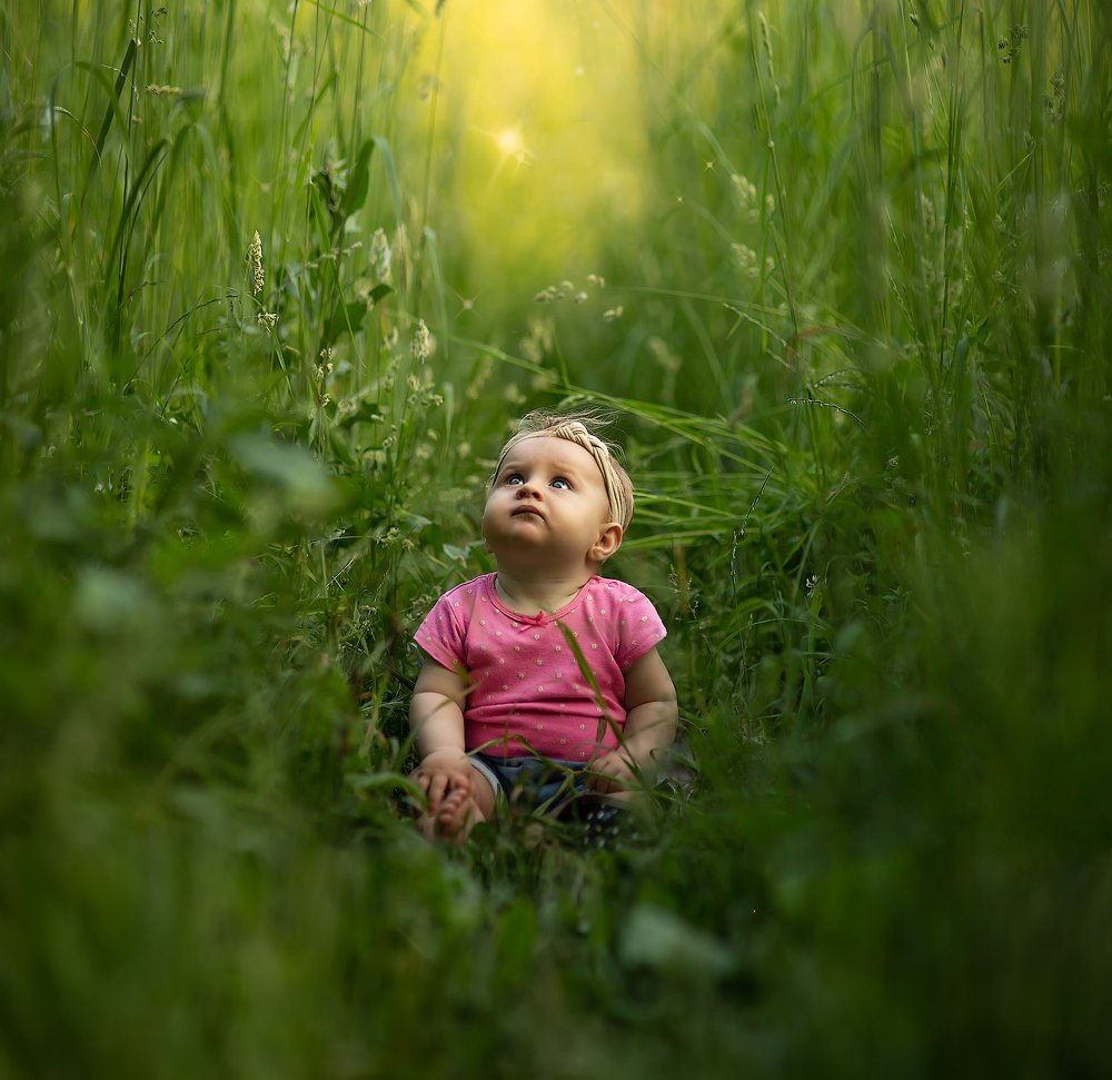 Мир полон чудес