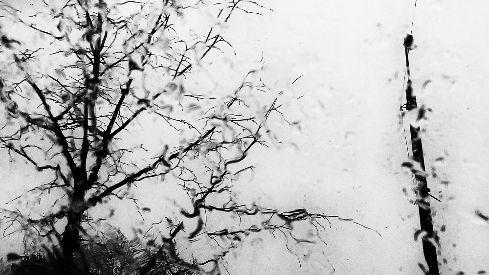 Photograph by Ирина Хромова