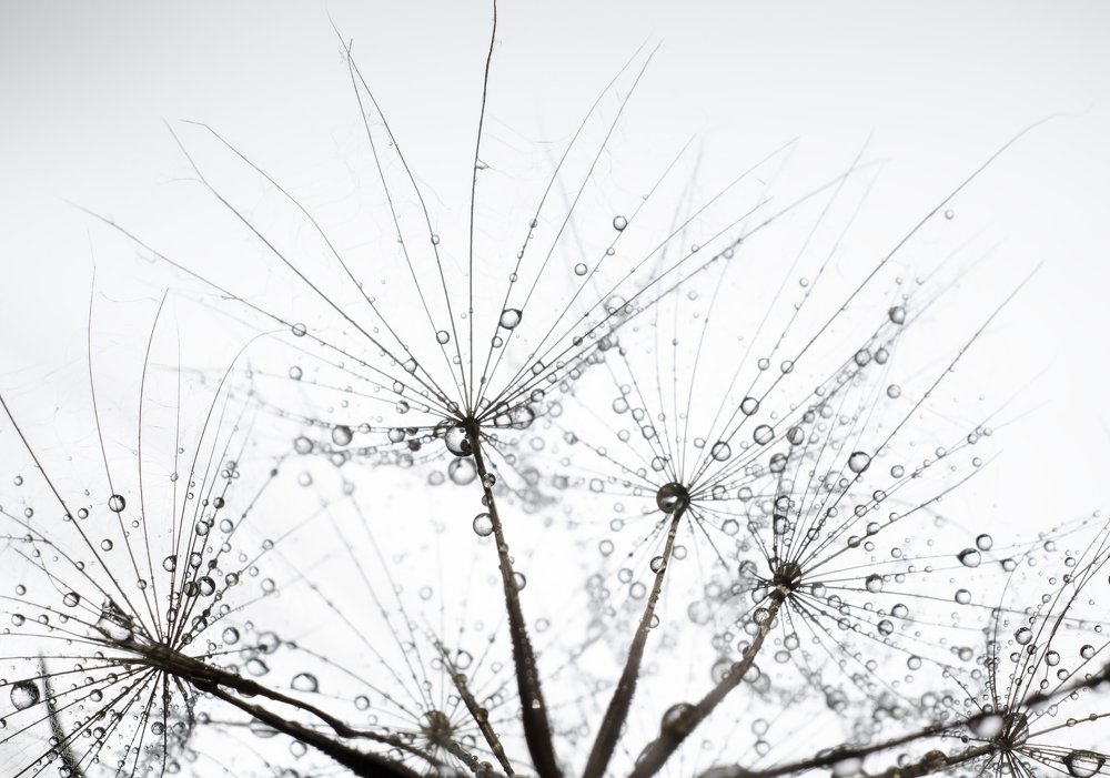 Photograph by Анна Айбетова