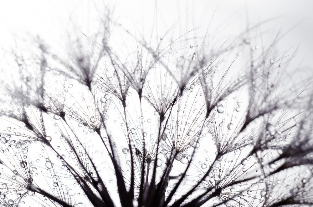 Photograph by Анна Айбетова