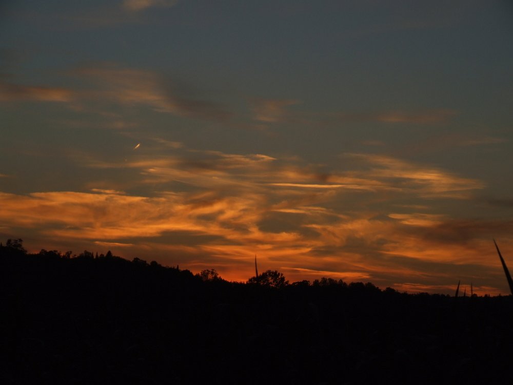 Photograph by Josée Beauchemin