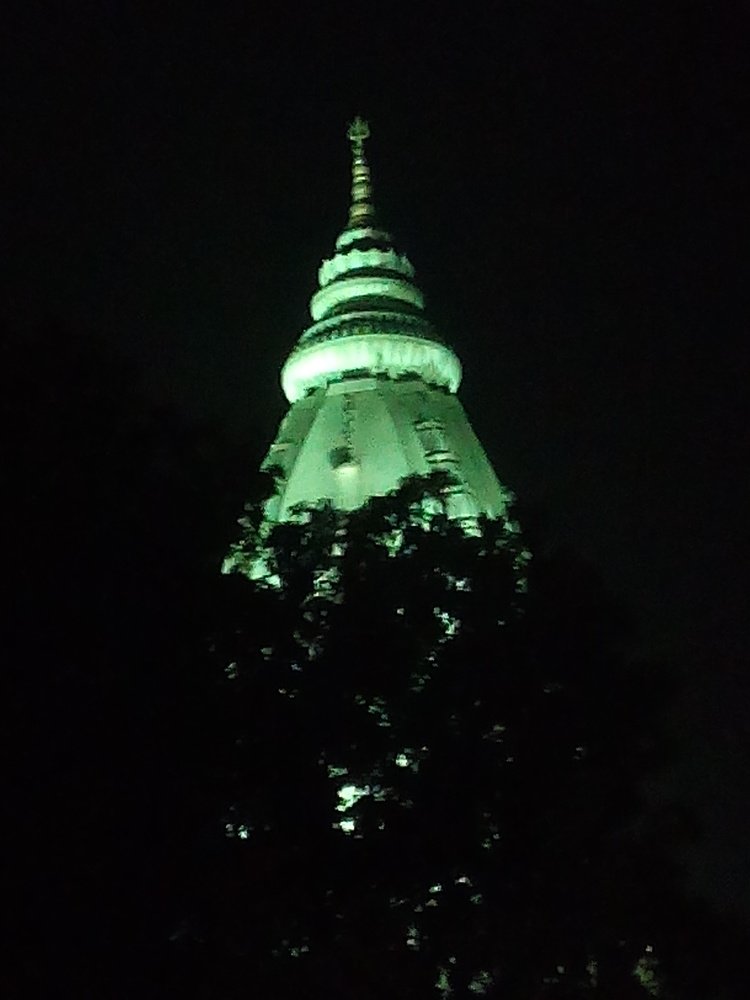 Night beauty