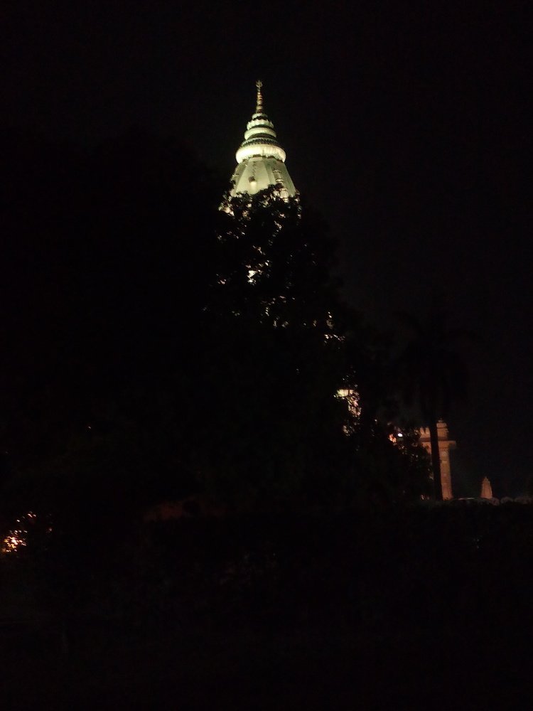 Night beauty