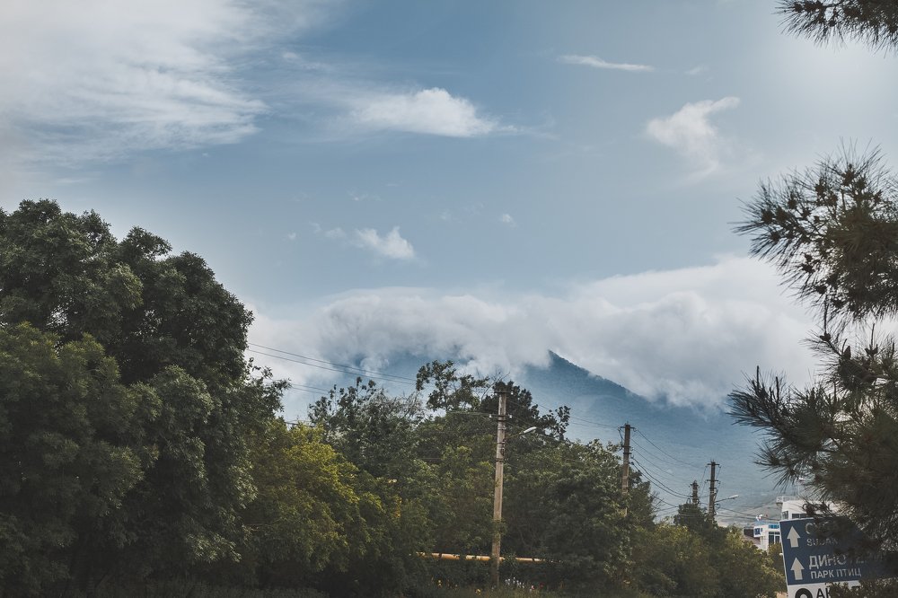 Photograph by Sveta Rubcova