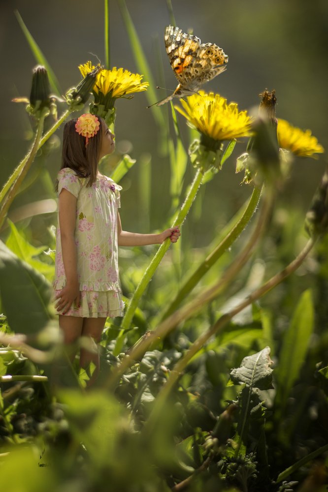 В одуванчиках