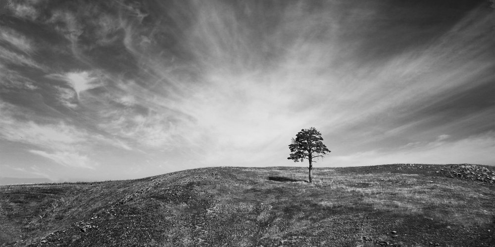 Вся прелесть одиночества