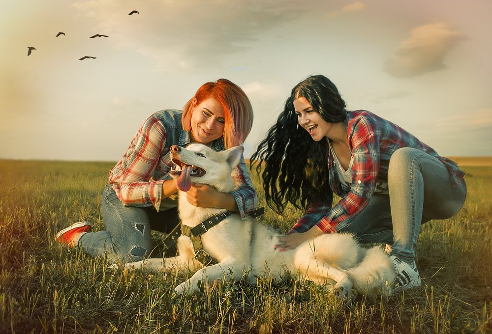 Собакен и сёстры