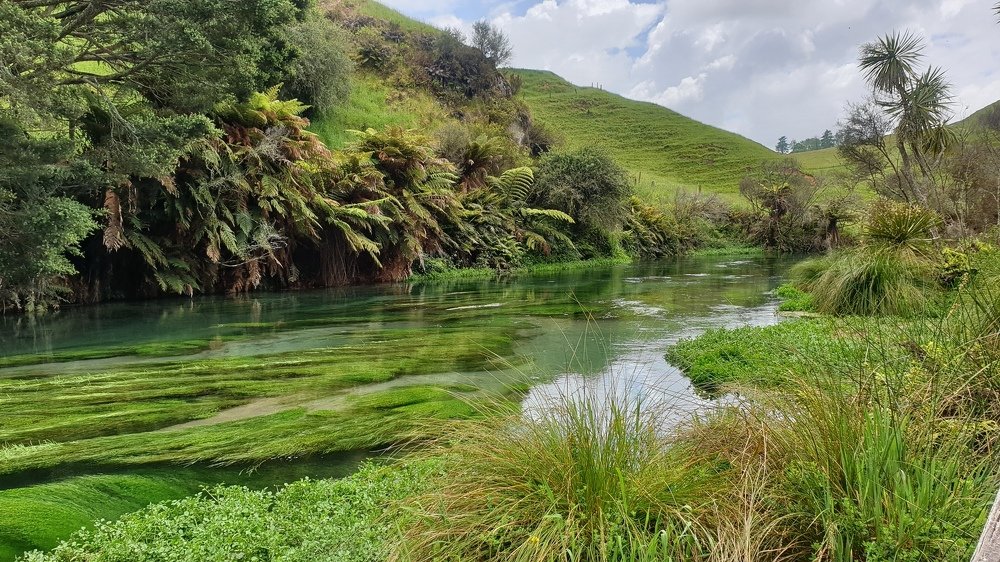 Lush Greenery & Crystal Clear Water
