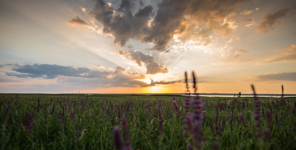 Беглицкая коса