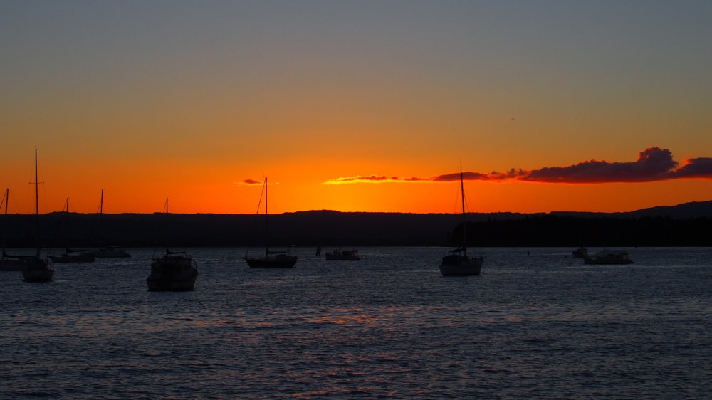 Alluring hue of orange