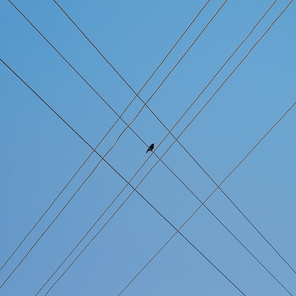 Photograph by Алексей Кайдаш