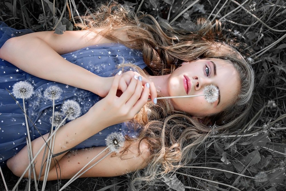 Одуванчики