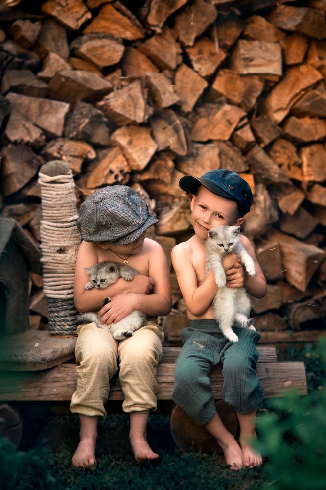 Любимые животные